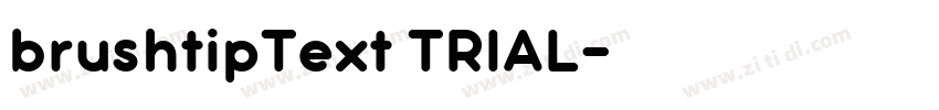 brushtipText TRIAL字体转换